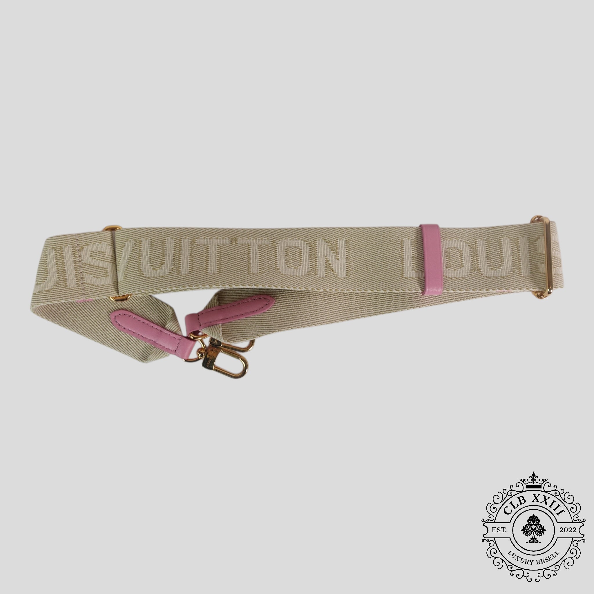 Louis Vuitton Coussin PM in Rose