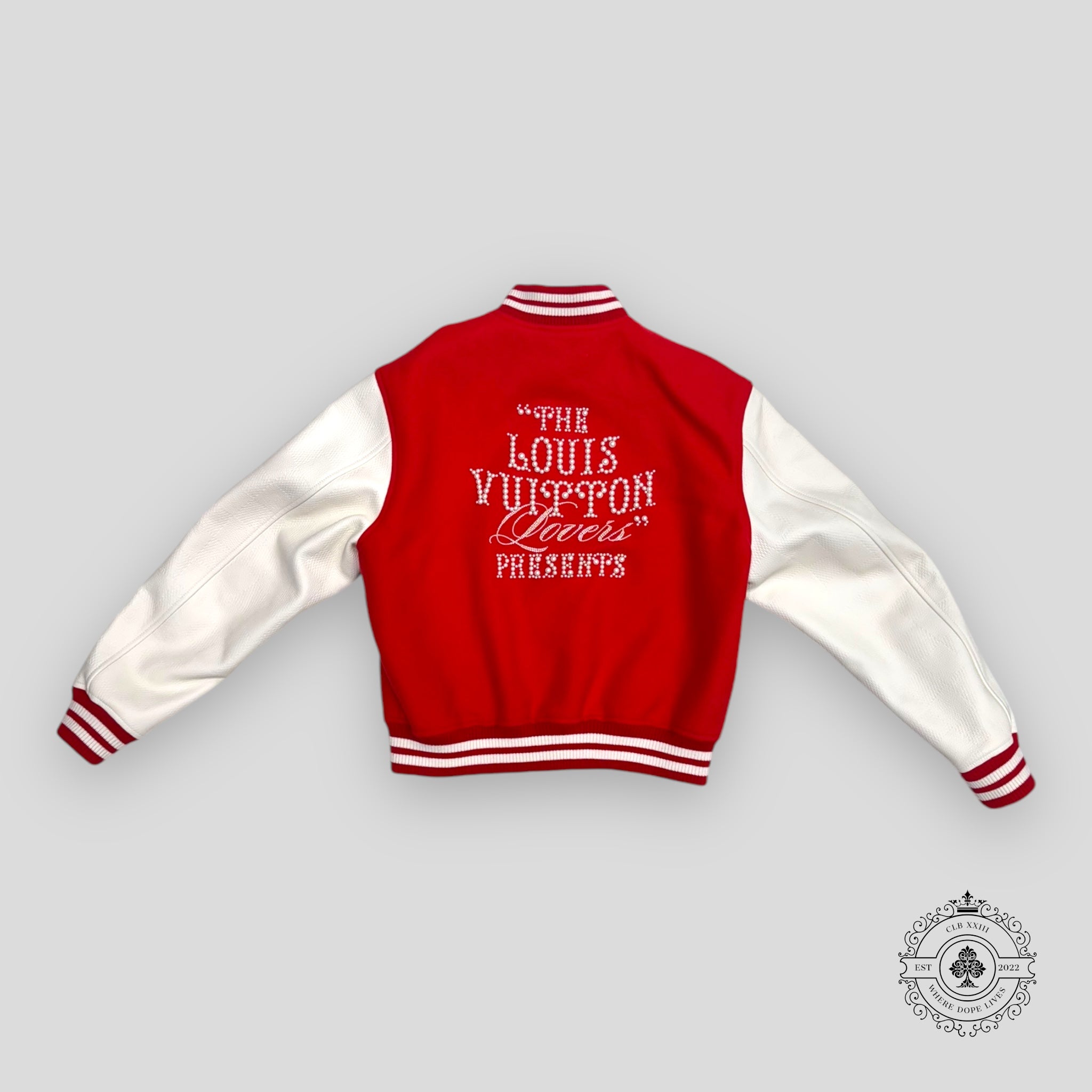 Louis Vuitton Mix Leather Varsity Blouson