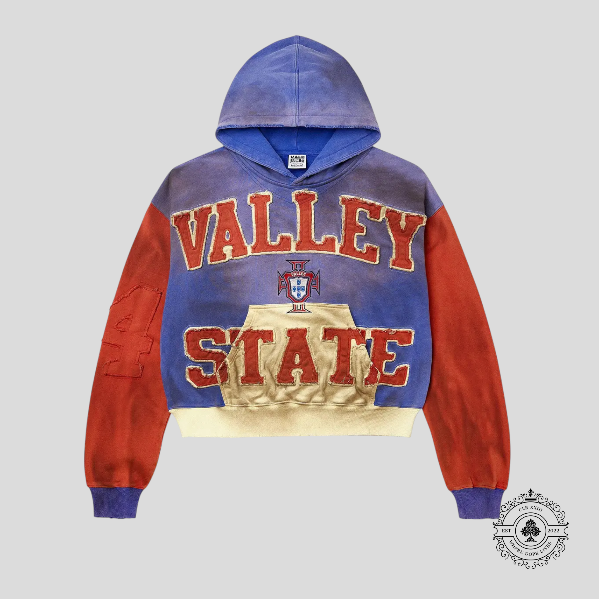 Vale Alumni Hoodie in Purple
