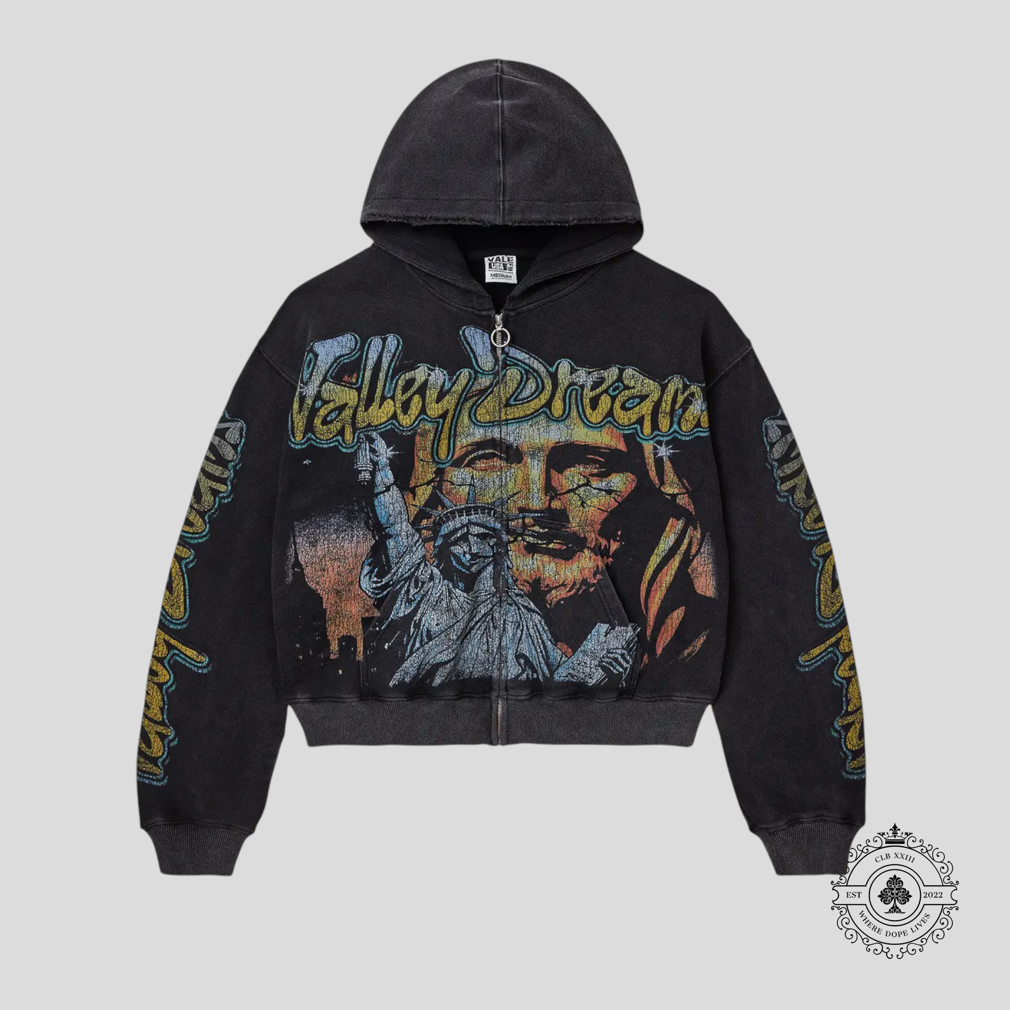 Vale Forever Gods Liberty Zip Up Hoodie in Black