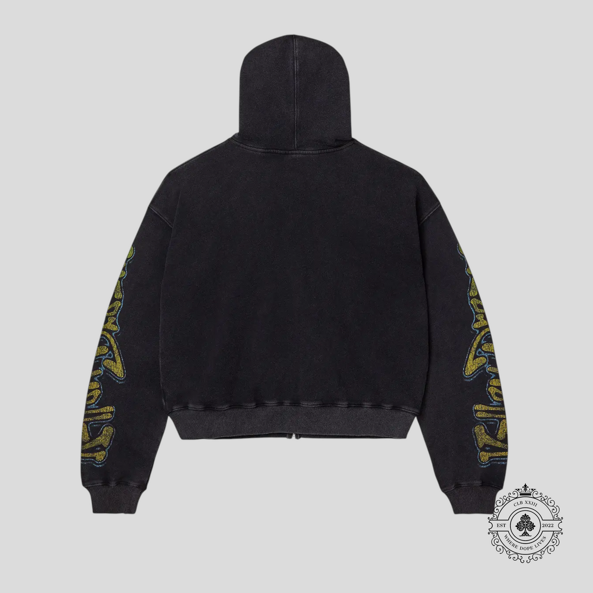 Vale Forever Gods Liberty Zip Up Hoodie in Black