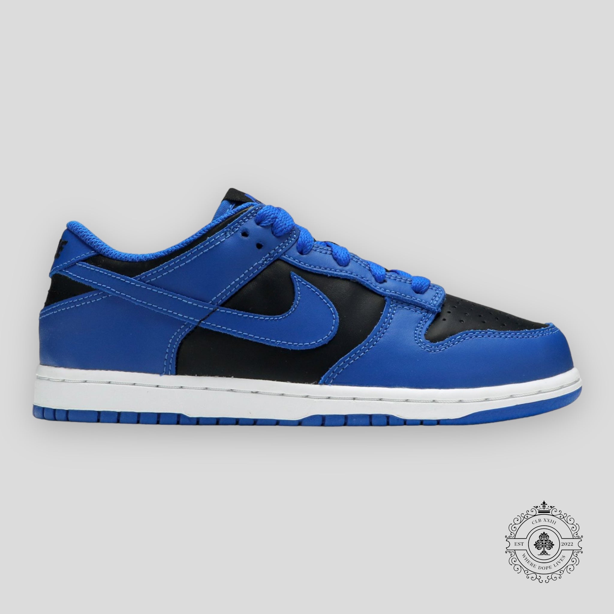 Nike Dunk Low PS Hyper Cobalt