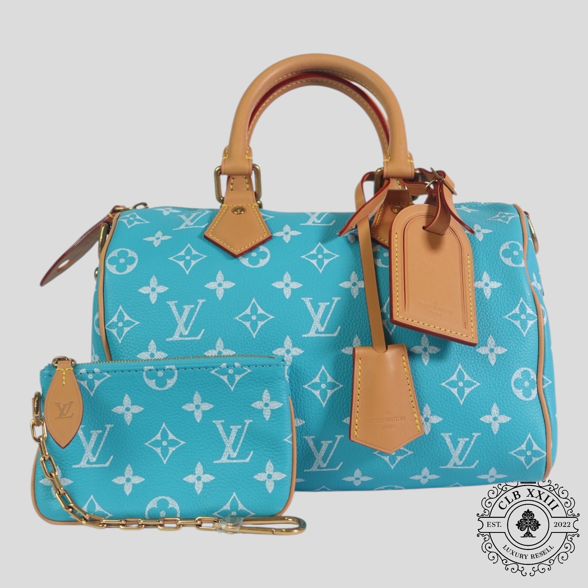 Louis Vuitton Speedy P9 Bandoulière 25 in Turquoise