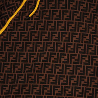 Fendi FF Hoodie in Brown
