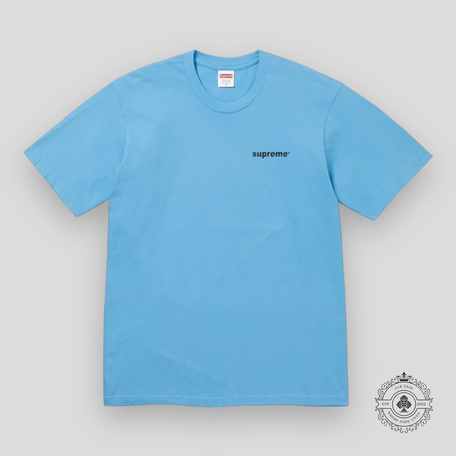 Supreme Fuck Money Tee in Burnt Blue