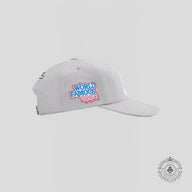 Supreme World Famous S Logo 6 Panel in Grey