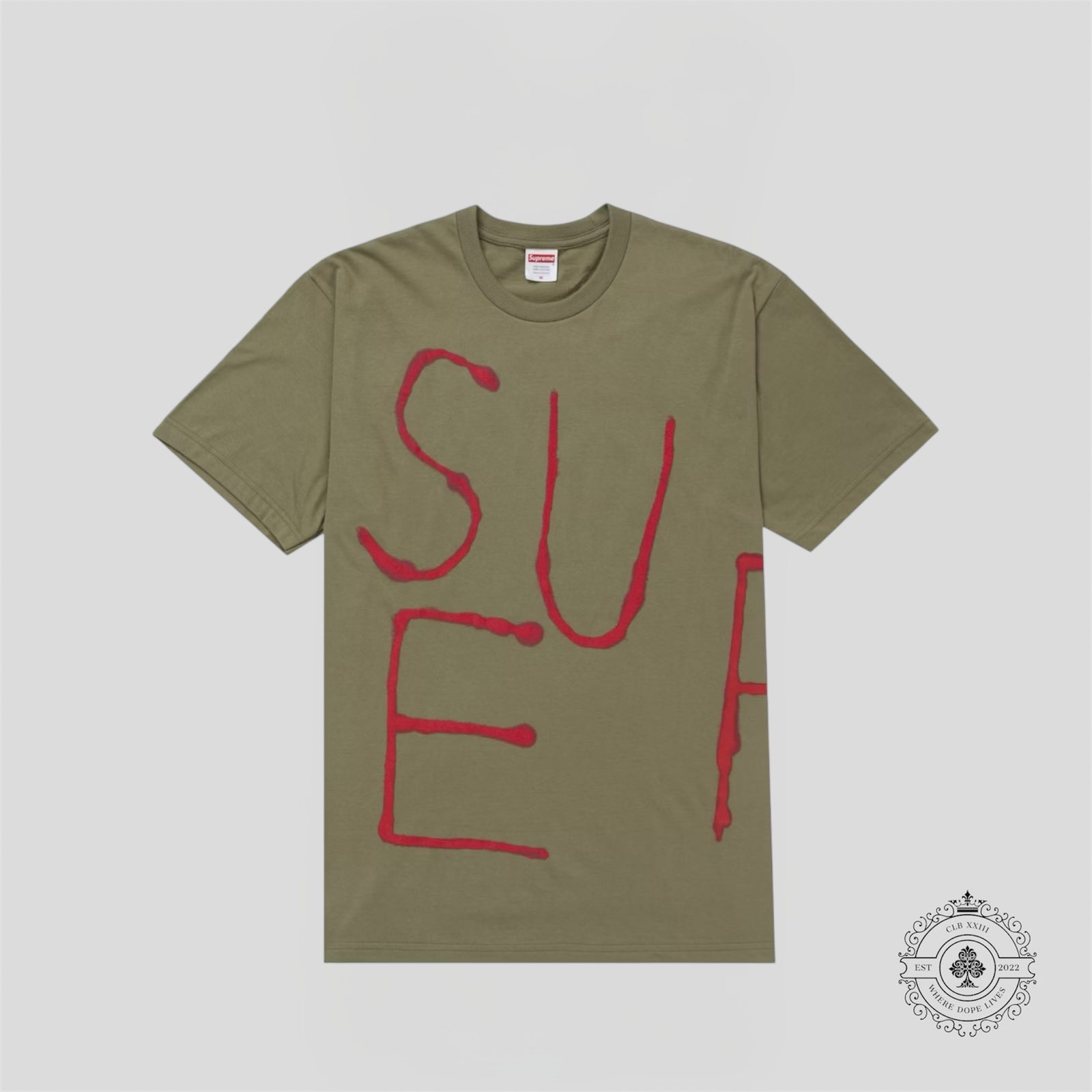 Supreme Painted T-Shirt in Olive Green