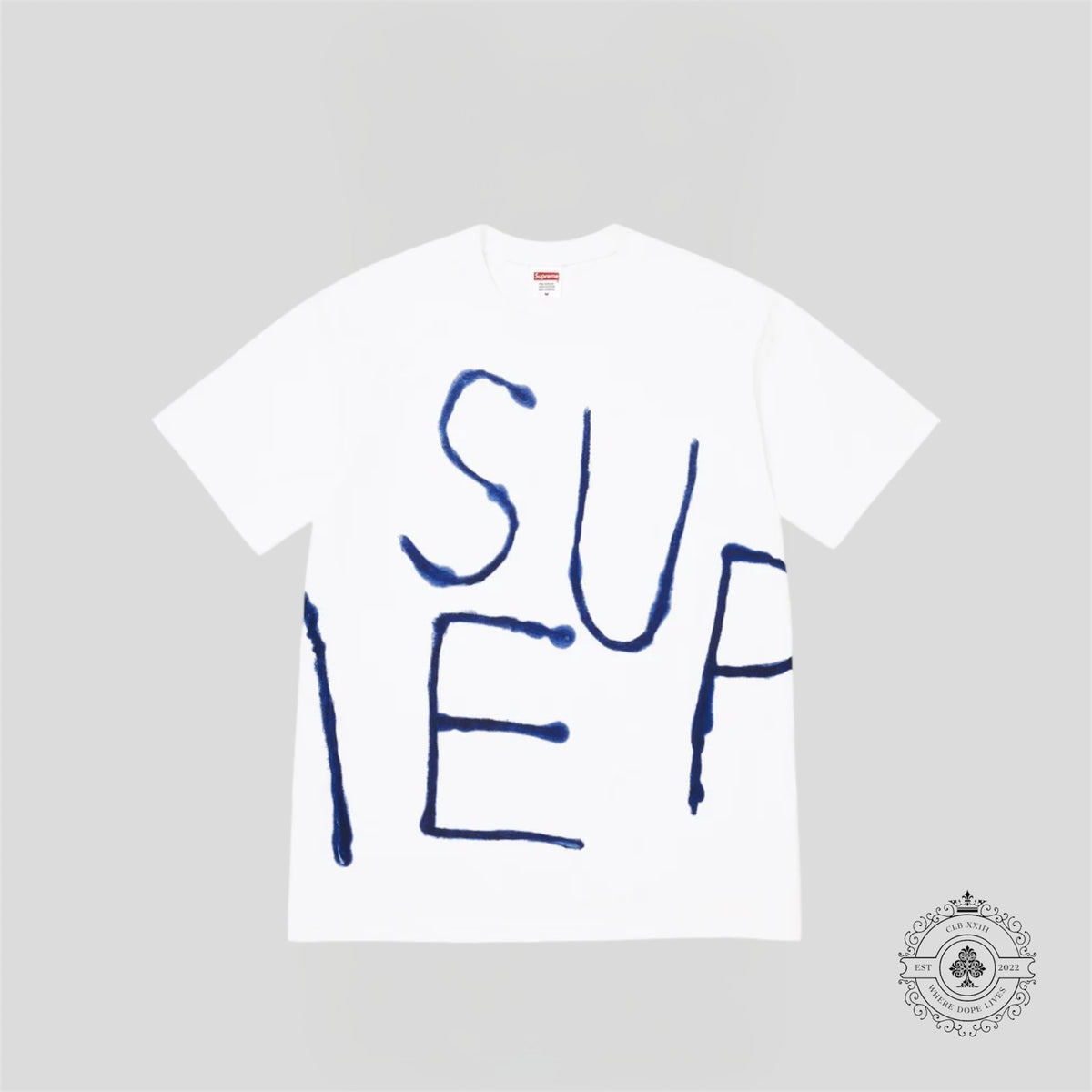 Supreme Painted T-Shirt in White