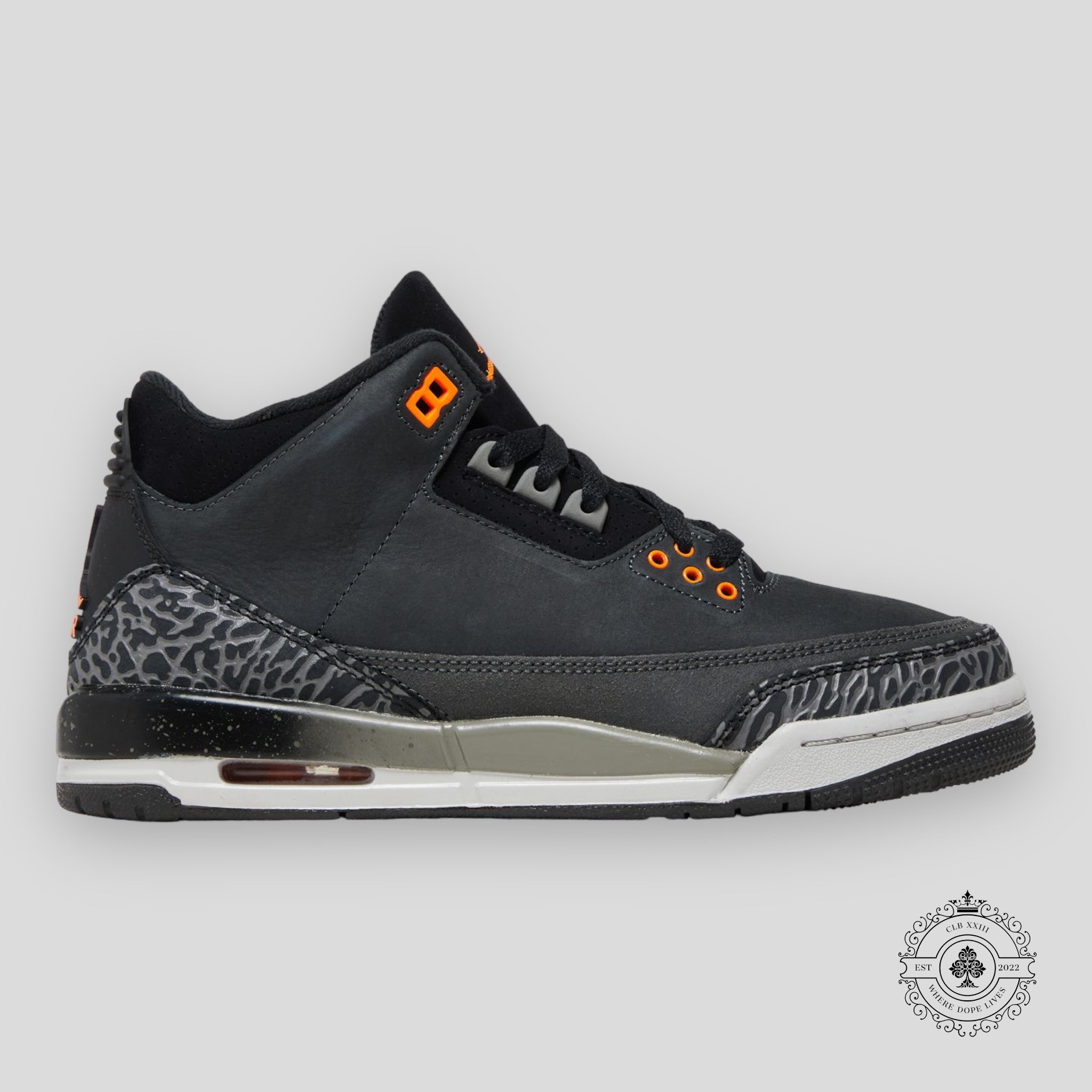Air Jordan 3 Retro GS Fear Pack