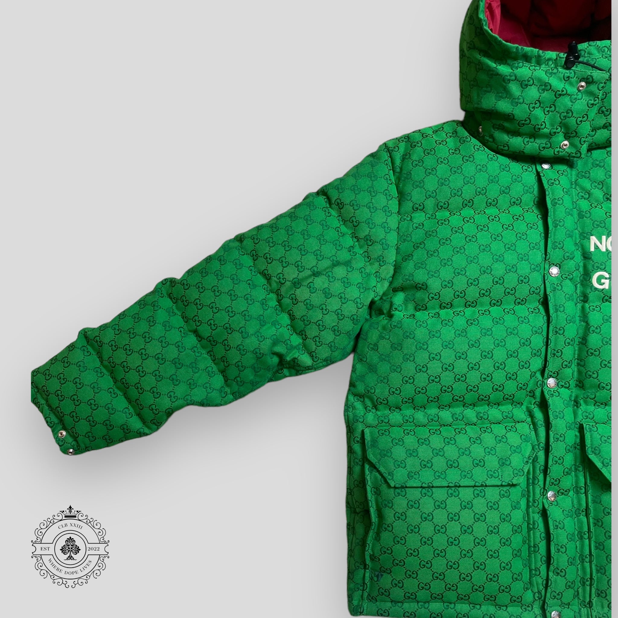 Gucci X North Face Puffer Jacket in Green
