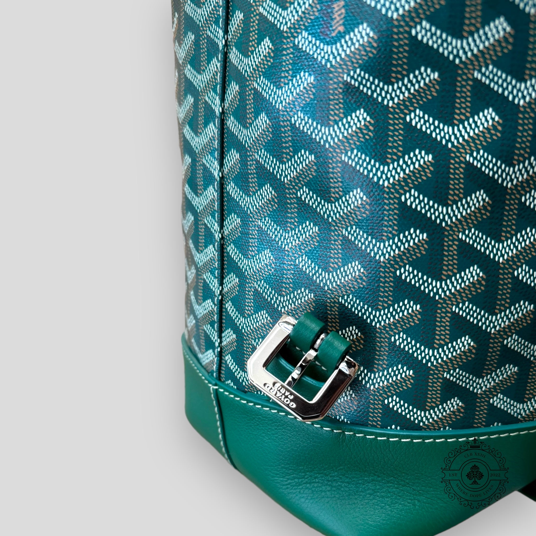 Goyard Cisalpin MM Backpack in Green