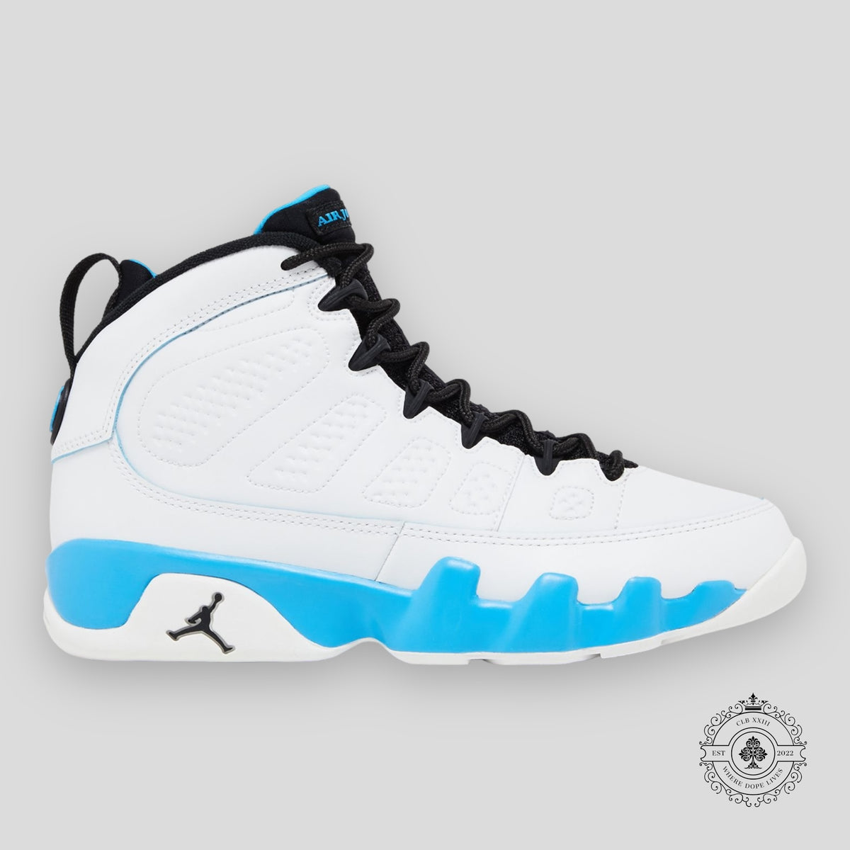 Air Jordan 9 Retro GS Powder Blue