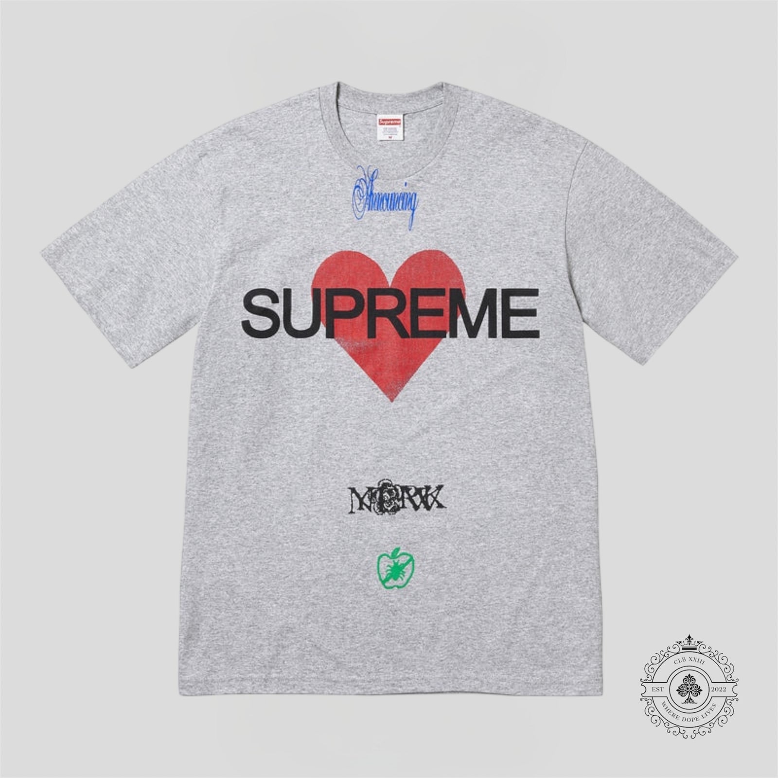 Supreme Announcing T-Shirt in Grey