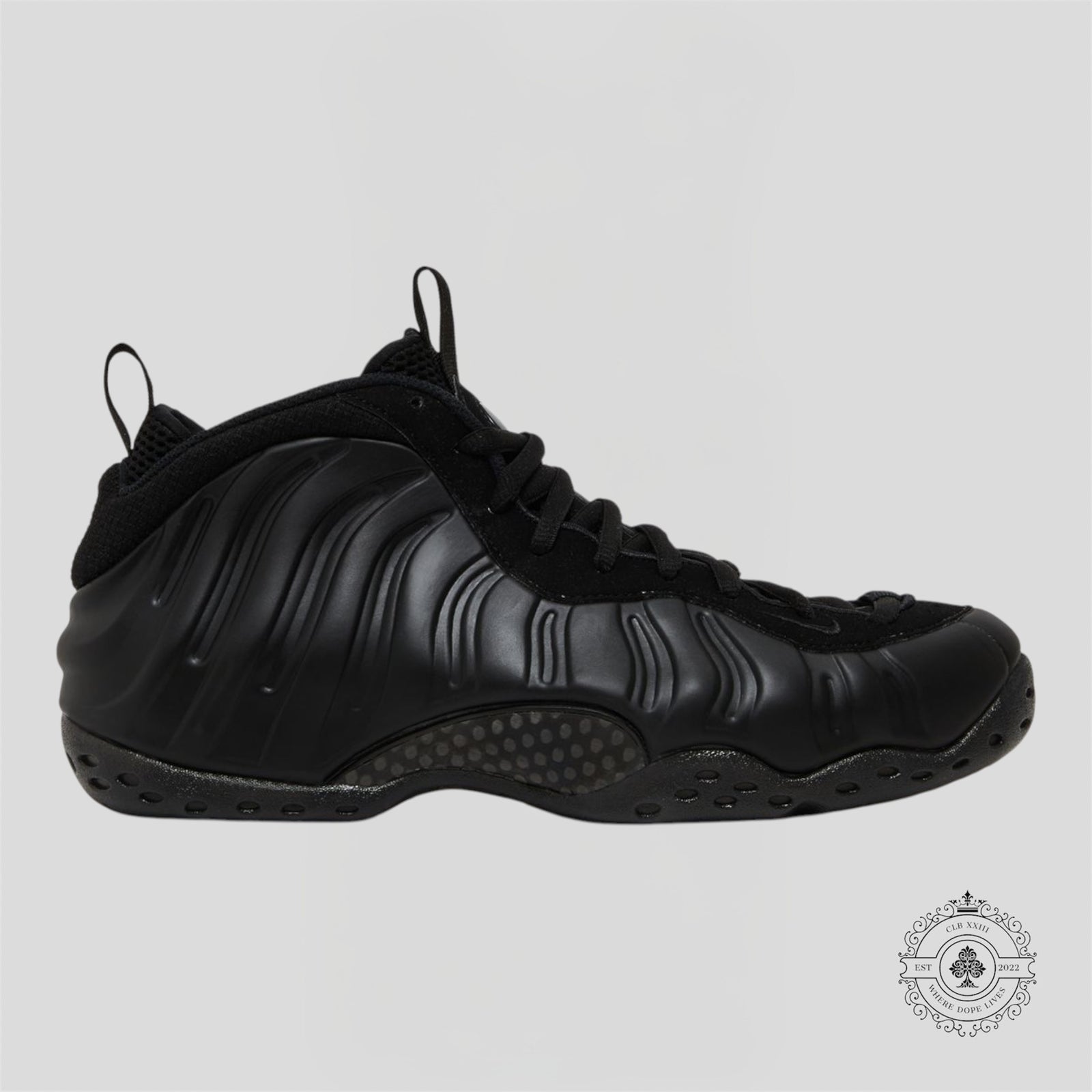 Nike Air Foamposite One Anthracite (2023)