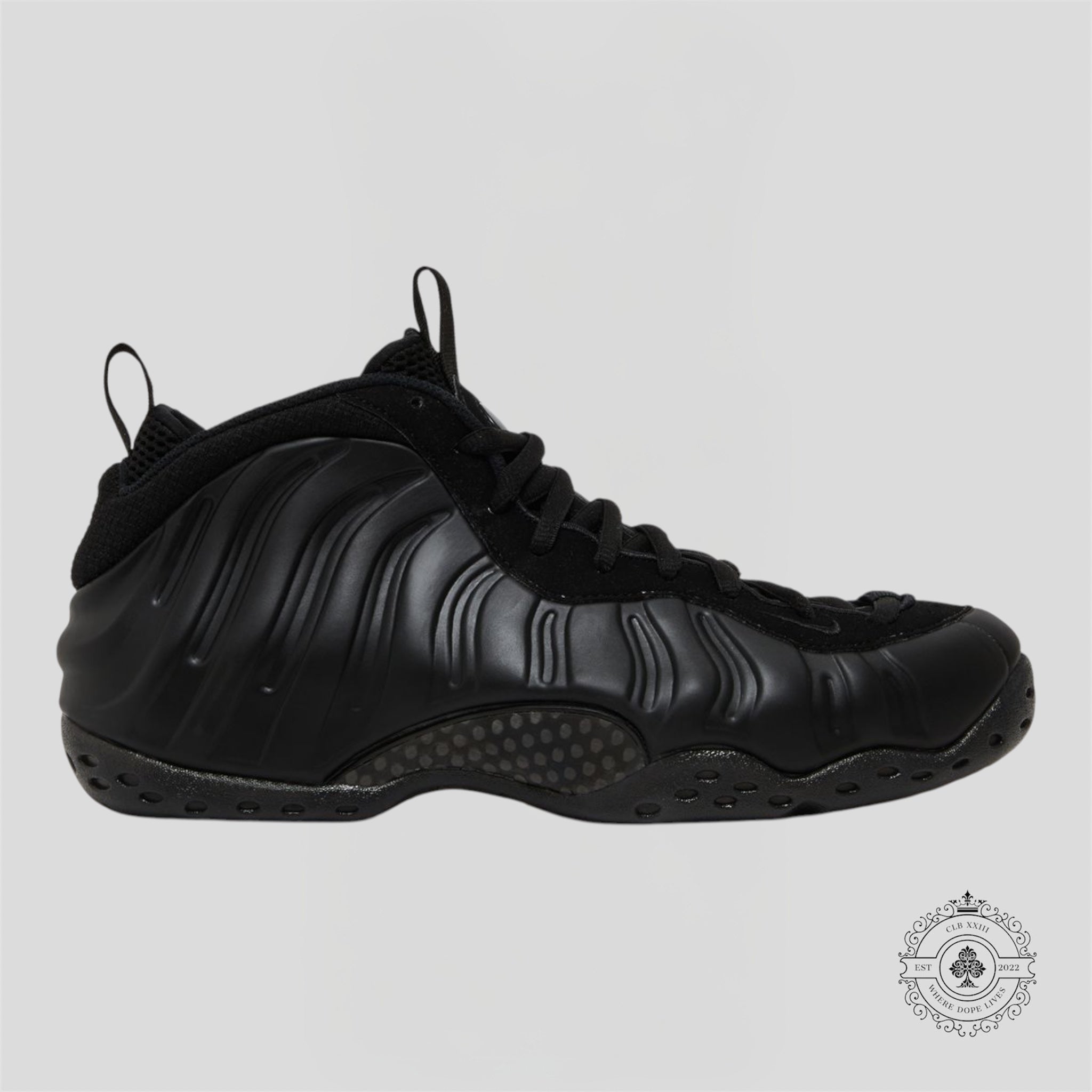 Nike Air Foamposite One Anthracite (2023)