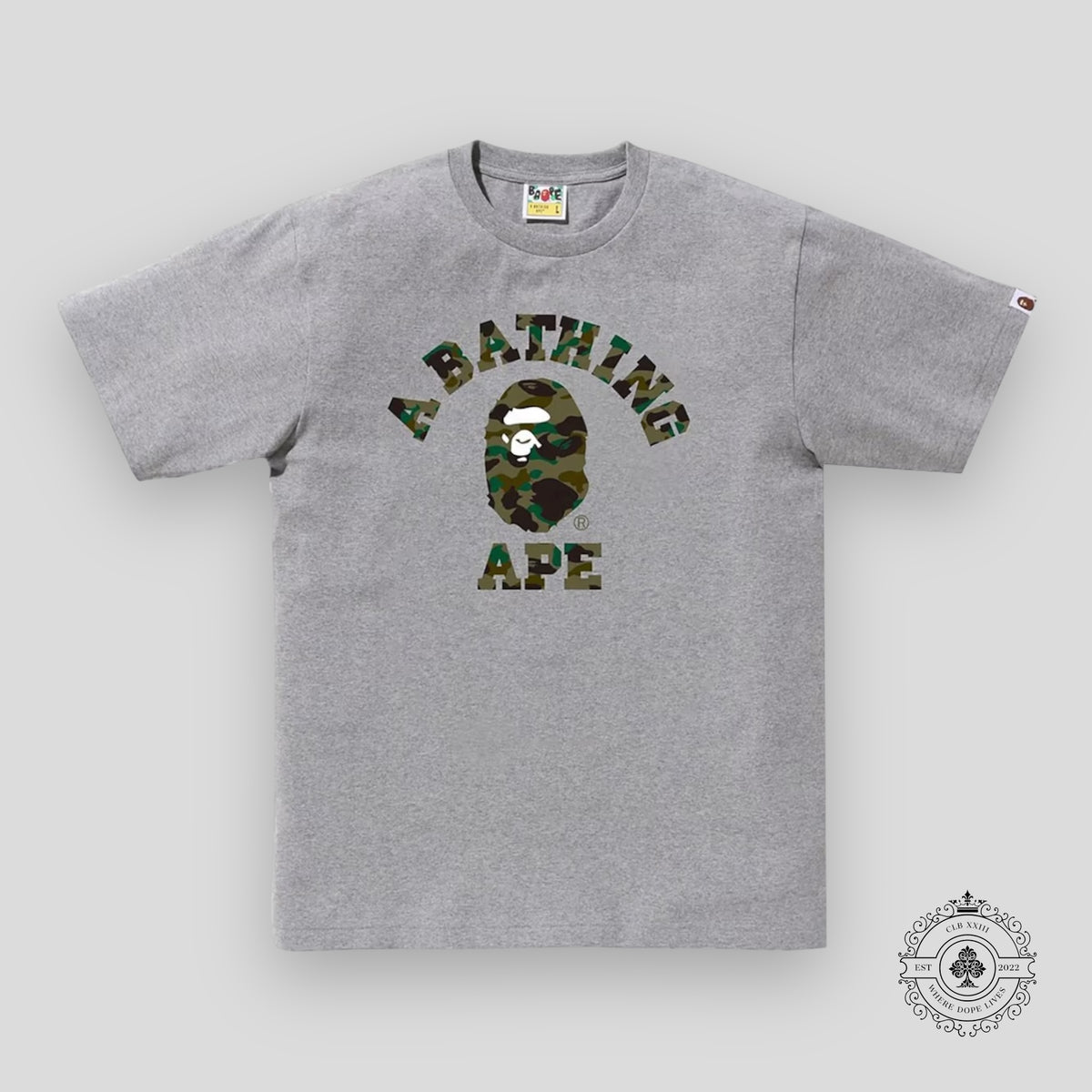 Bape 1st Camo College Tee in Grey / Green
