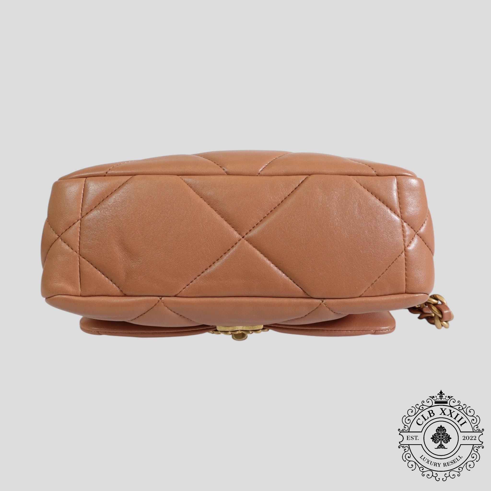Chanel 19 Lambskin Quilted Medium Flap Bag in Brown