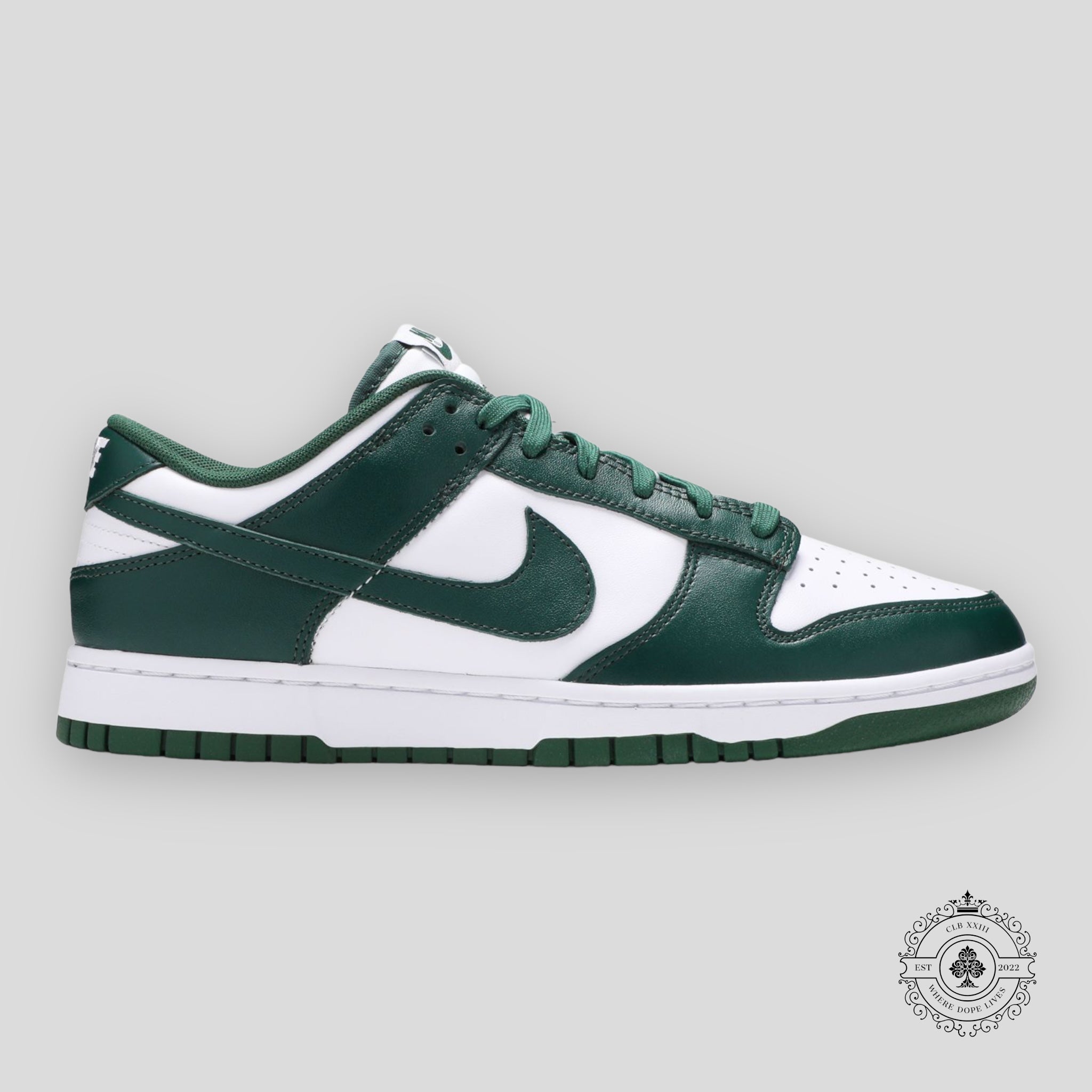 Nike Dunk Low Michigan State
