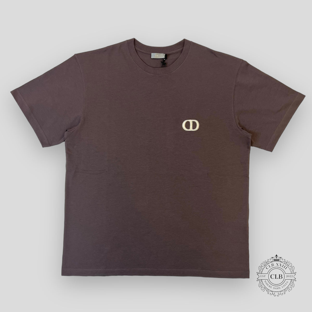 Dior CD Icon Tee in Dark Brown