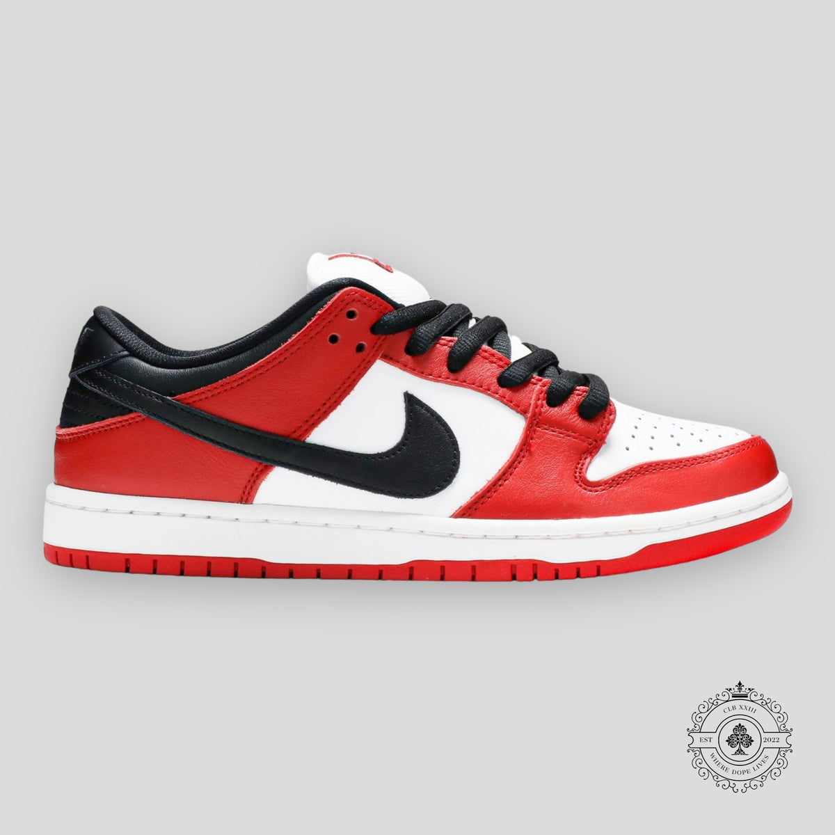 Nike SB Dunk Low Pro J-Pack Chicago