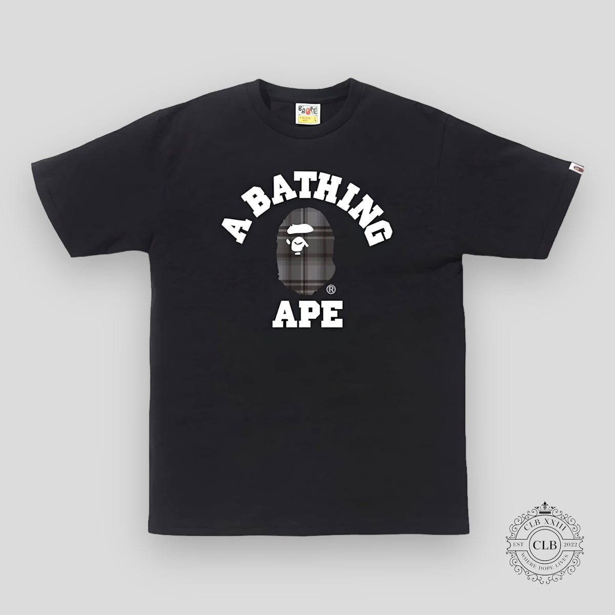 BAPE CHECK COLLEGE TEE - BLACK