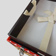 Louis Vuitton X Supreme Trunk