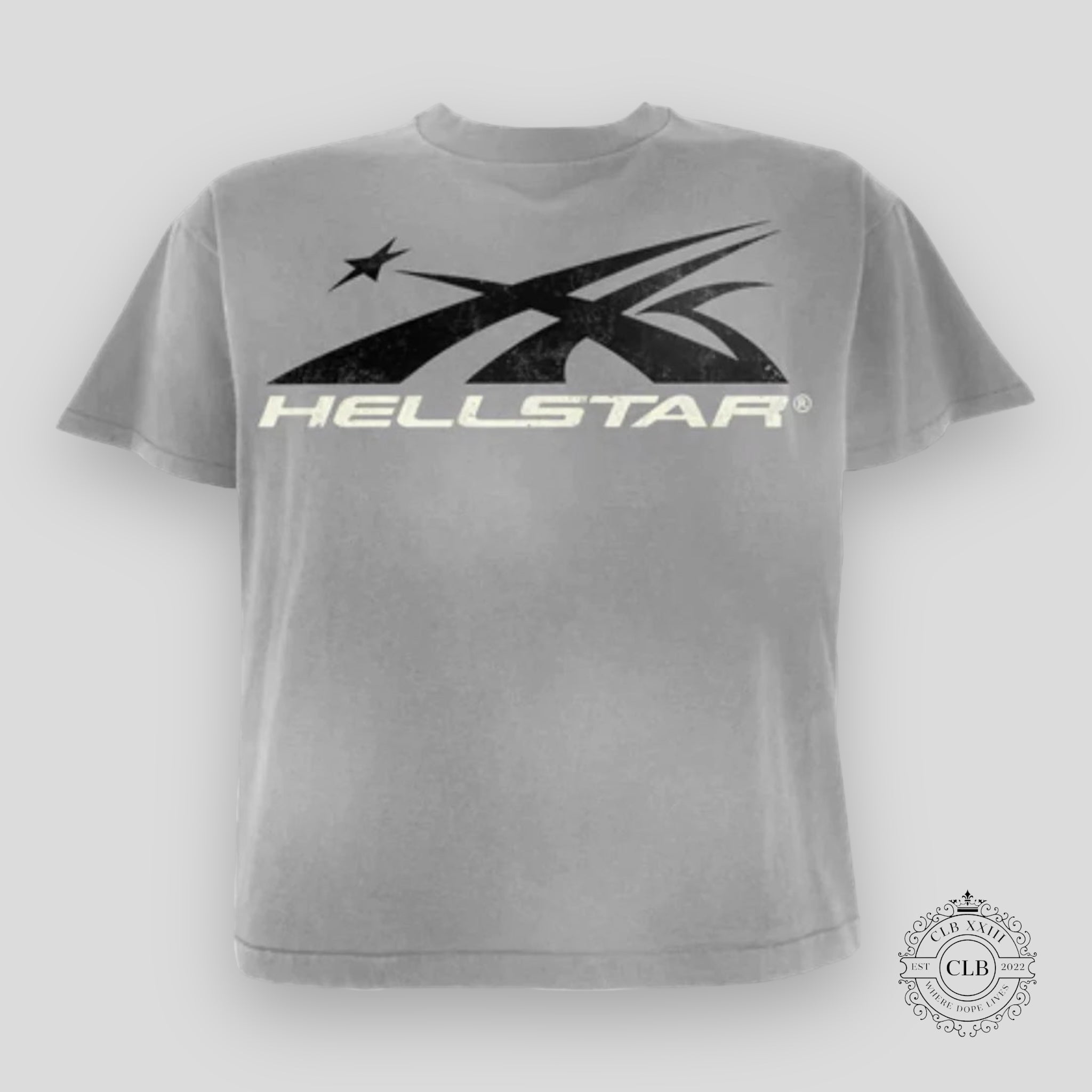 HELLSTAR SPORT LOGO TEE - GREY