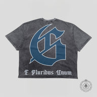 Godspeed First Contact Tee in Grey Wash