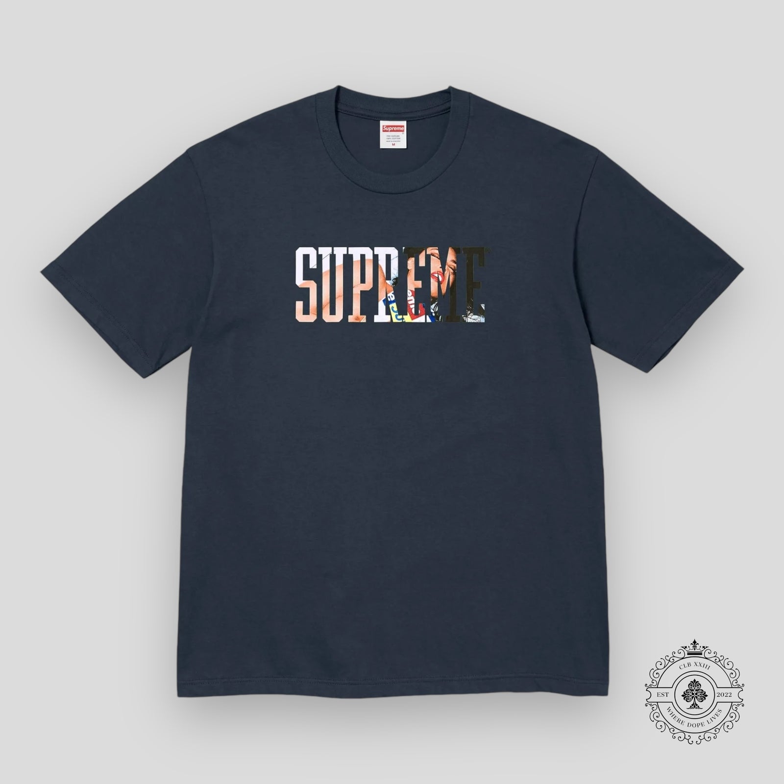 Supreme Tera Patrick Collegiate Tee in Navy