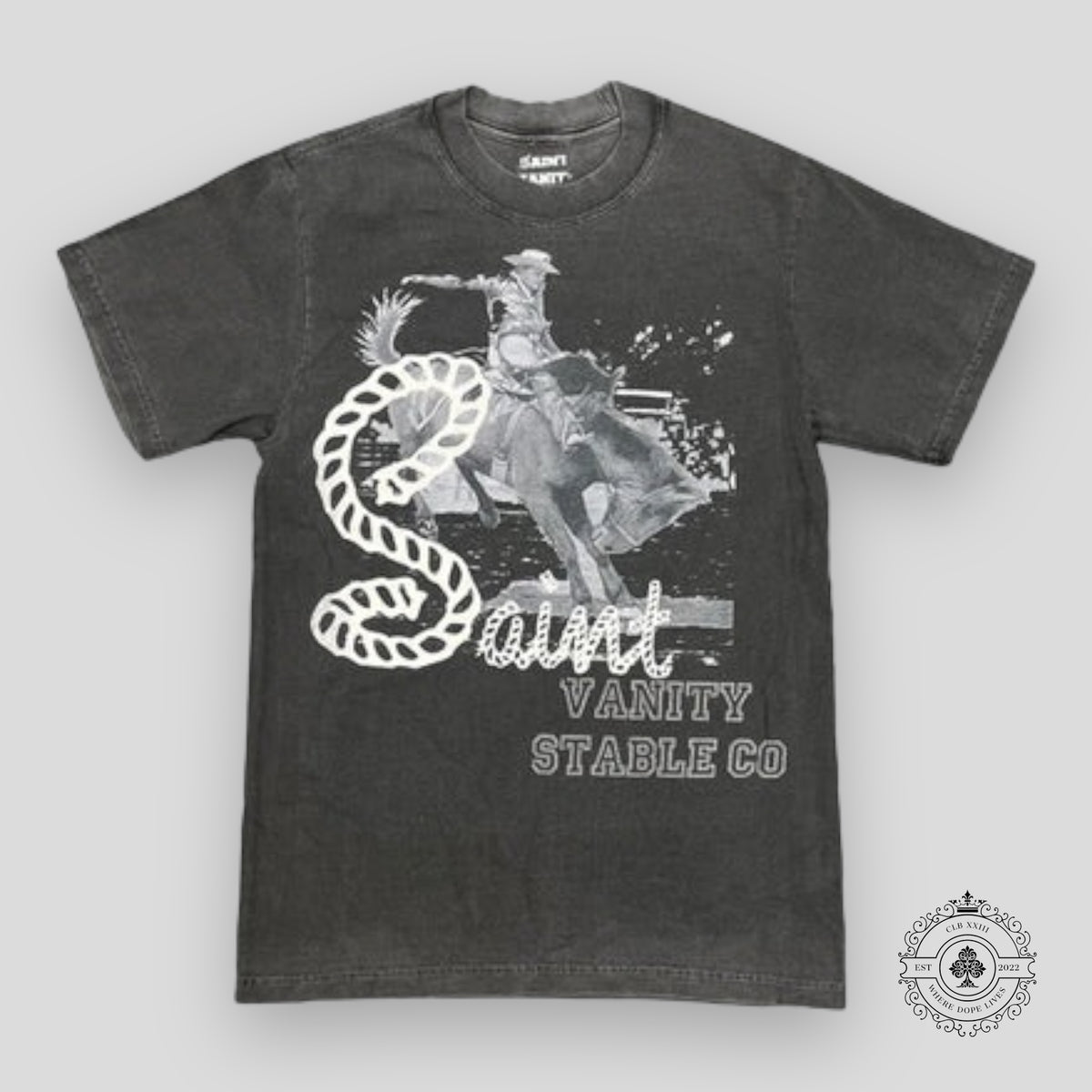 Saint Vanity Stable T-Shirt in Black