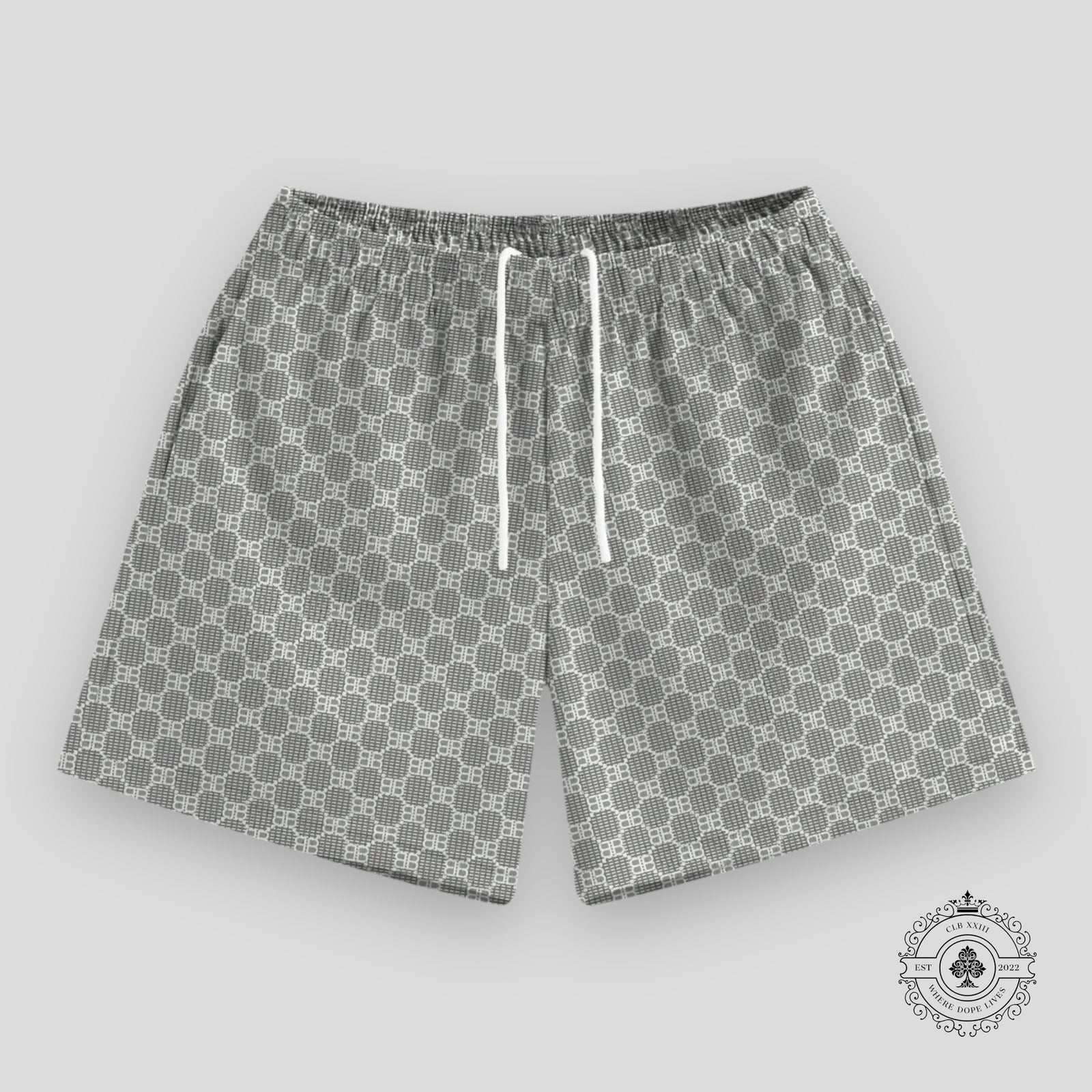 Bravest Studios Matrix Shorts in Slate Grey
