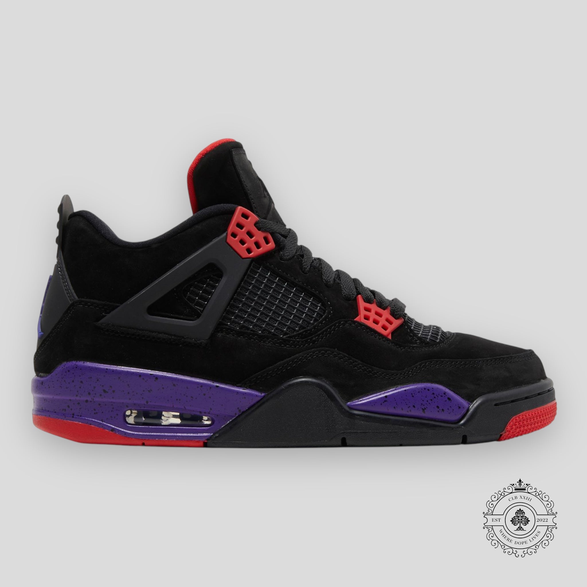 Air Jordan 4 Retro Raptors (2018)