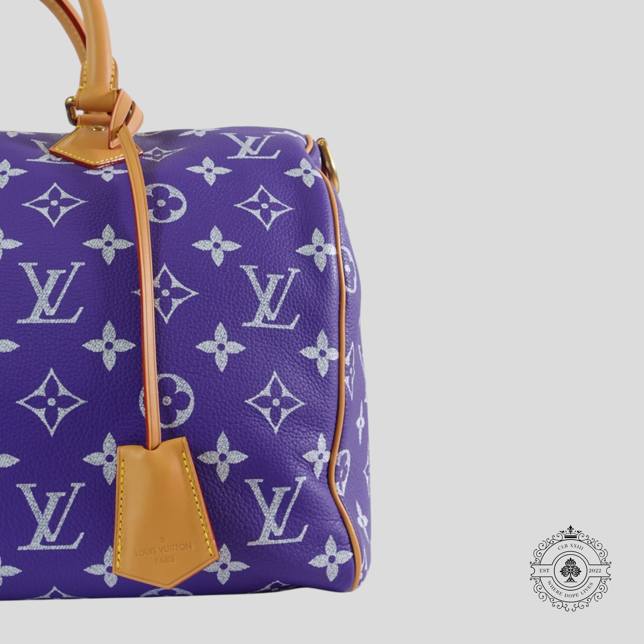 Louis Vuitton Speedy P9 Bandoulière 40 in Purple