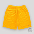 Supreme Small Box Logo Baggy Mesh Shorts in Gold