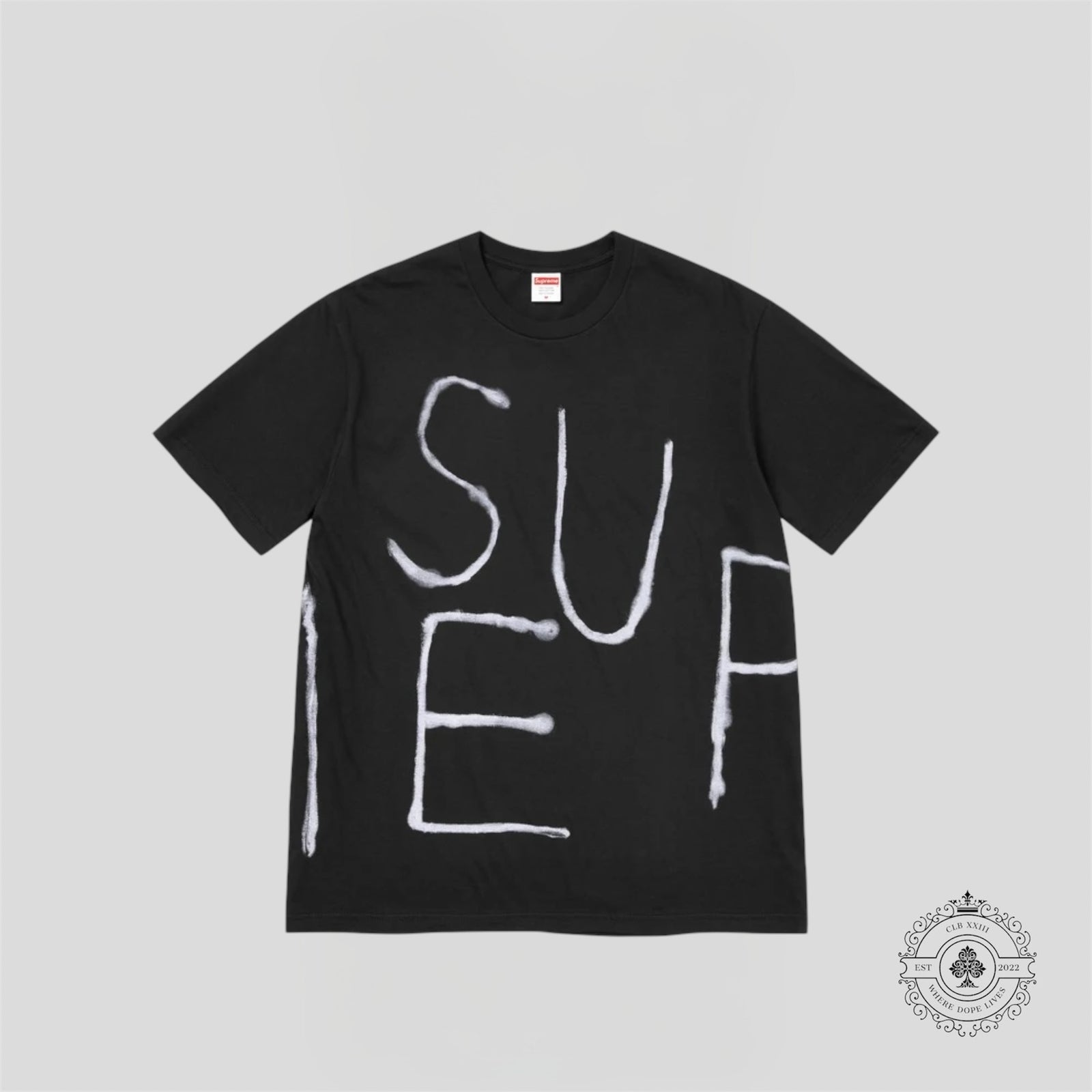 Supreme Painted T-Shirt in Black