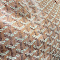 Goyard Saint Louis PM Tote Bag in Pink