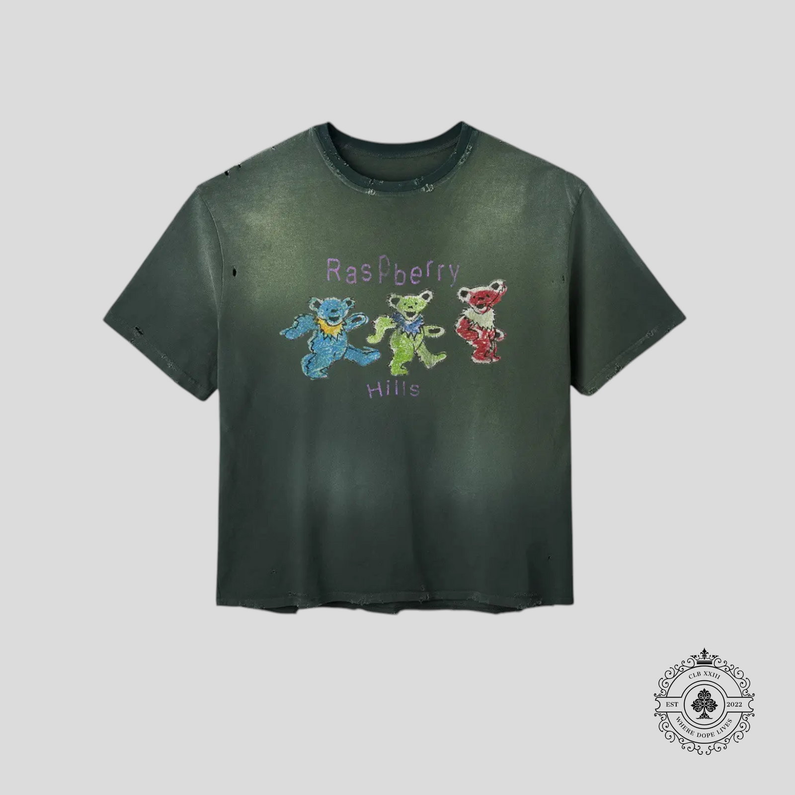 GV Gallery Raspberry Hills Greatful Dead Tee in Green