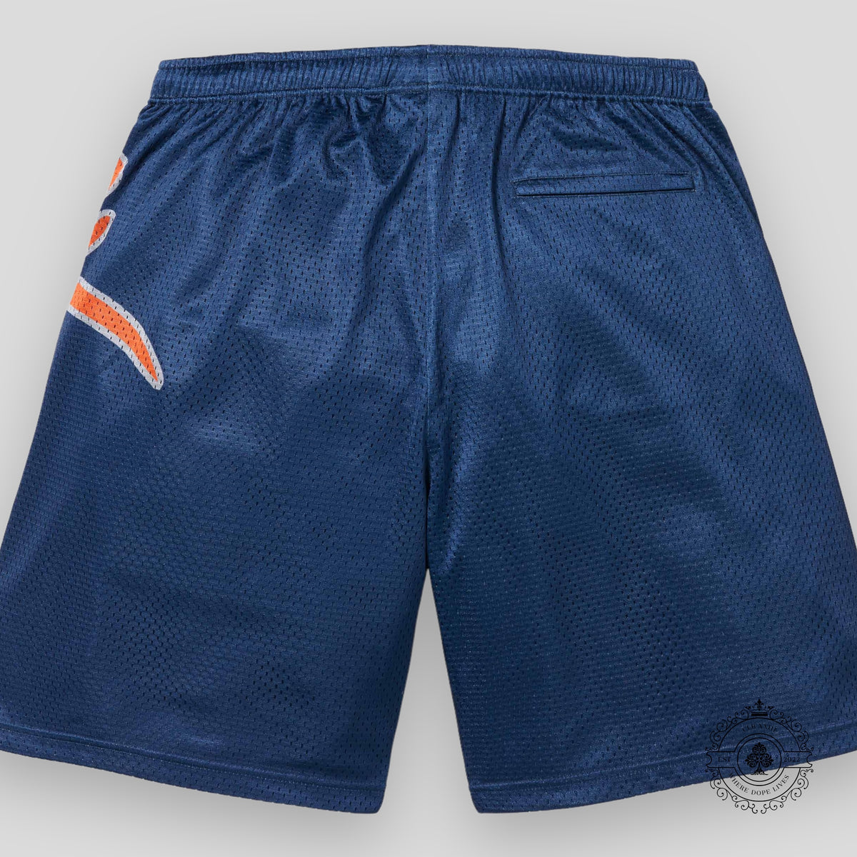 Supreme Big Script Mesh Short in Blue