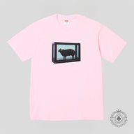 Supreme Black Sheep T-Shirt in Pink