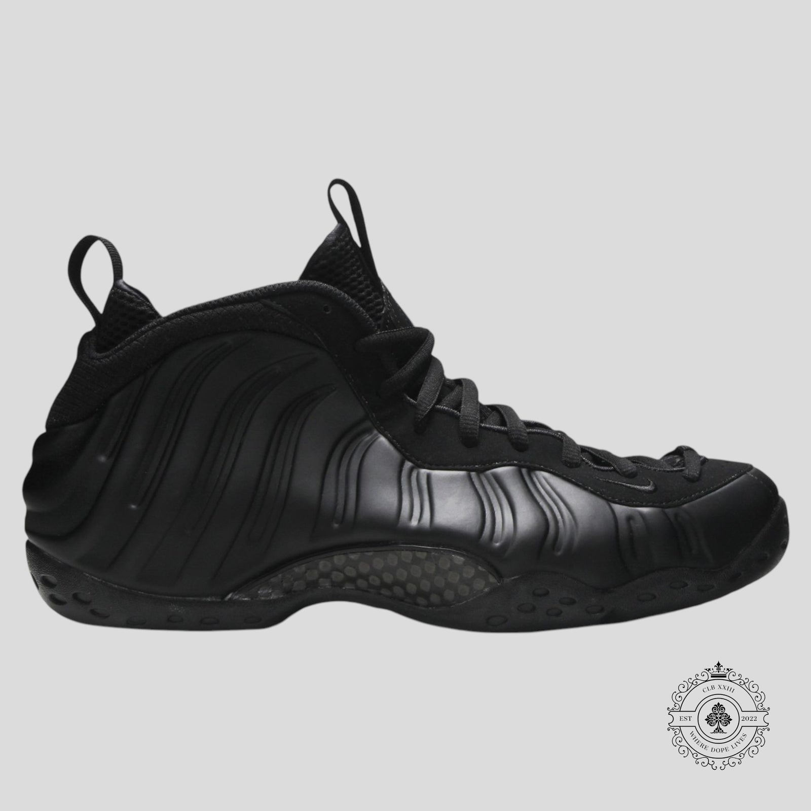 Nike Air Foamposite One Anthracite 2020