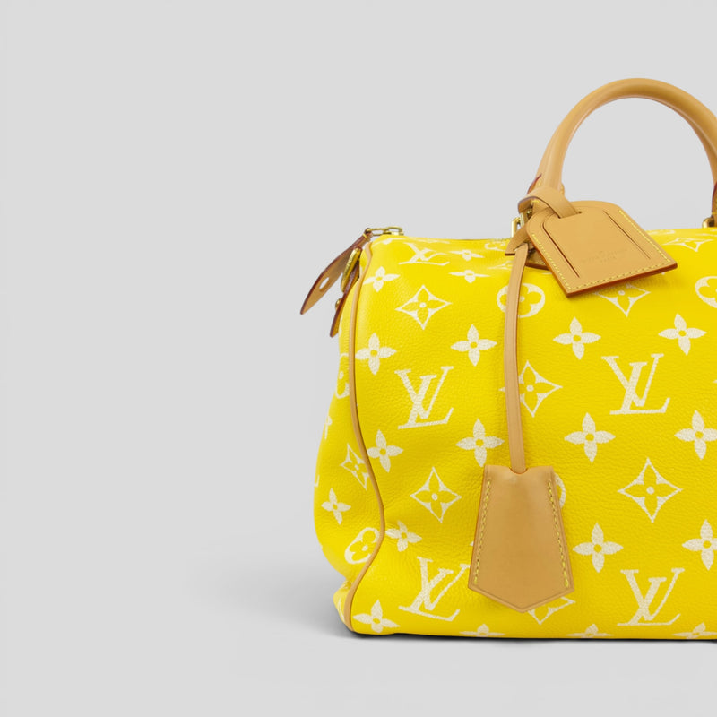Louis Vuitton Speedy P9 Bandoulière Calfskin Bag, side view