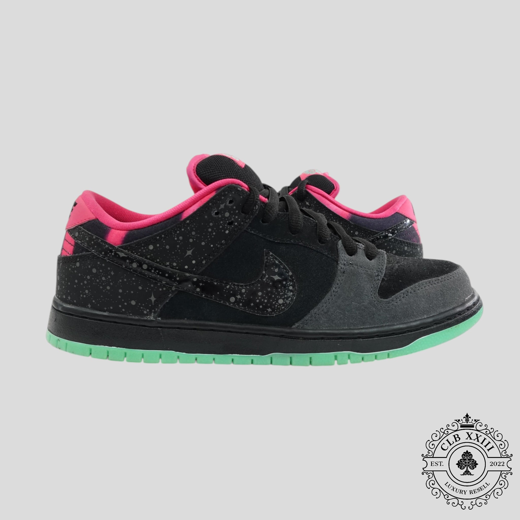 Nike SB Dunk Low Premier Northern Lights