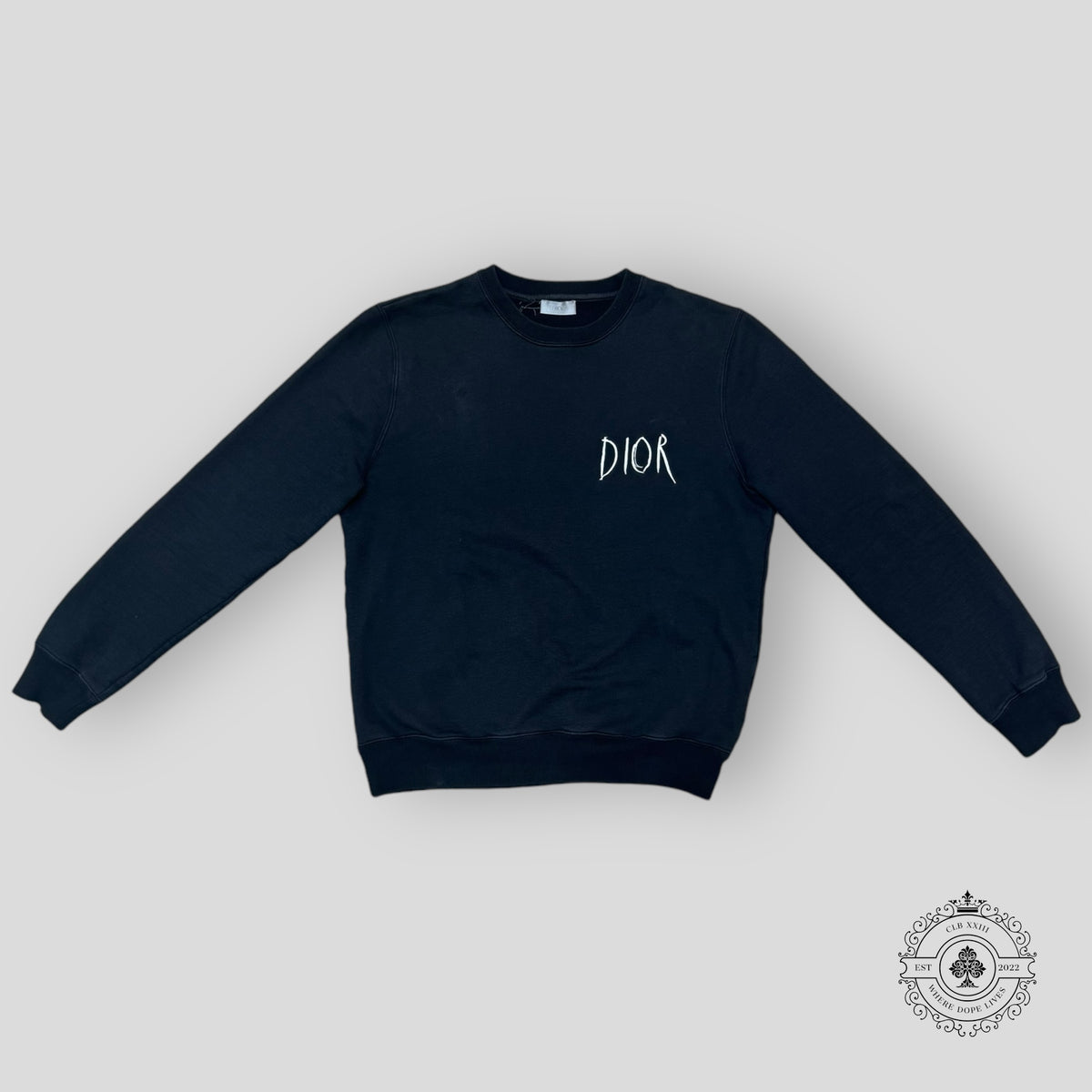 Dior Raymond Petition Embroidered Sweatshirt in Black