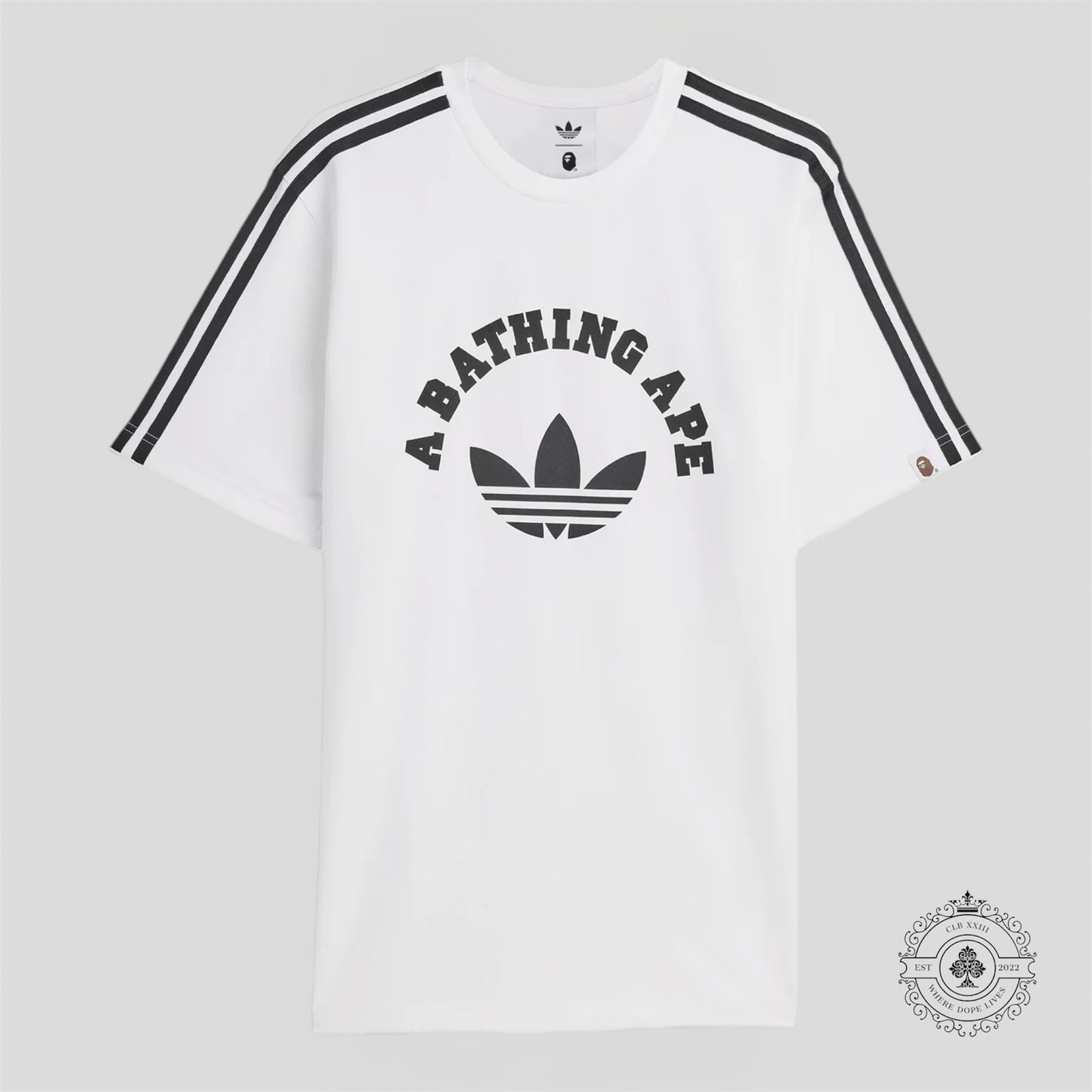 BAPE x adidas Tee in White/Black