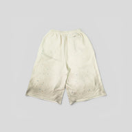 Satoshi Nakamoto Drifter Shorts