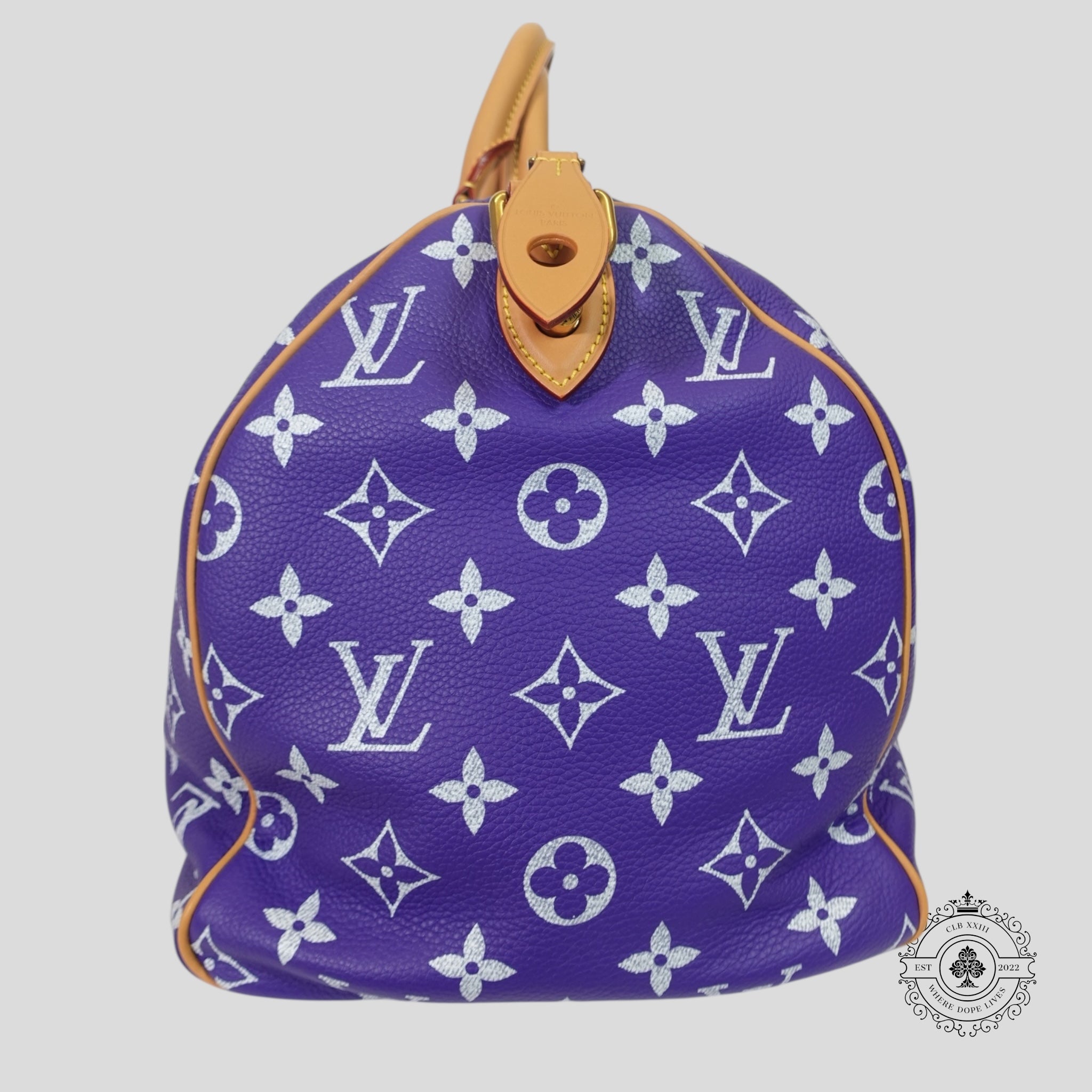 Louis Vuitton Speedy P9 Bandouliere 40 in Purple