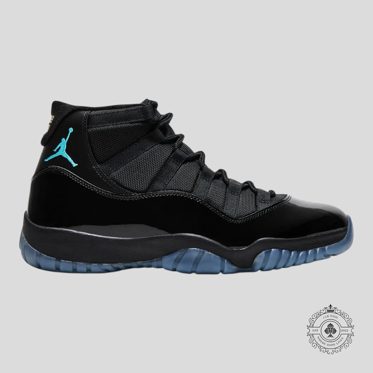 Air Jordan 11 Retro Gamma Blue 2025