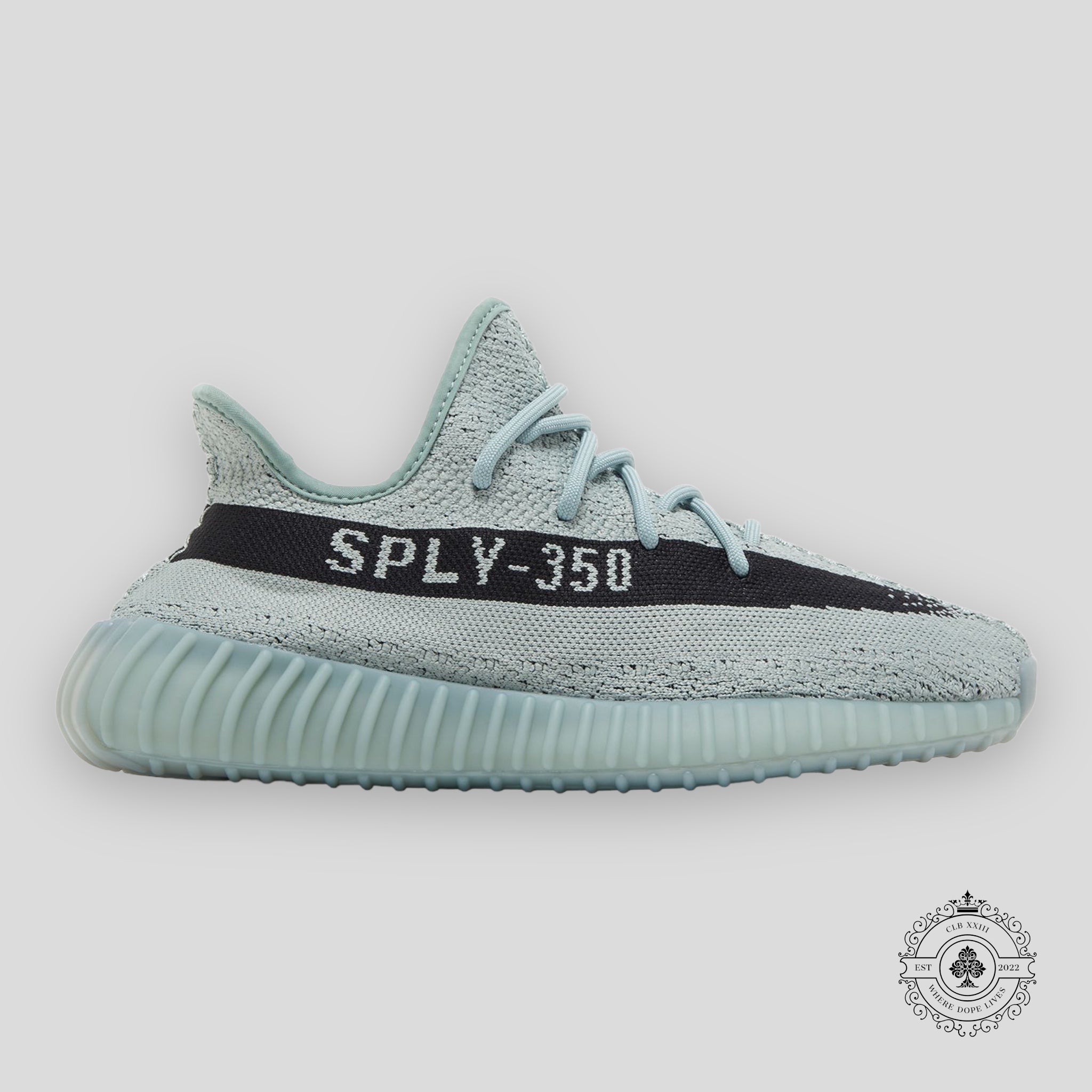 Adidas Yeezy Boost 350 V2 Salt