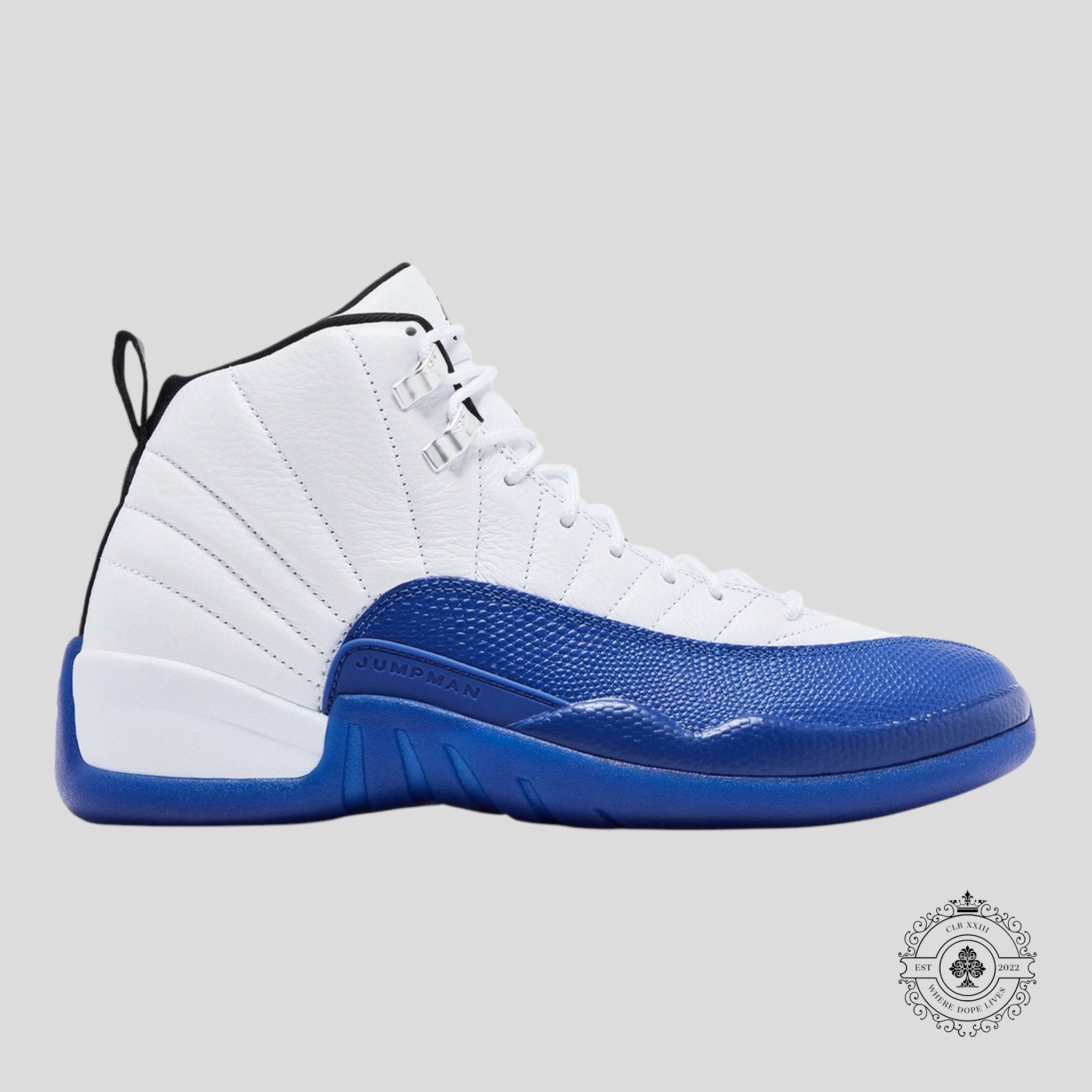 Air Jordan 12 Retro Blueberry