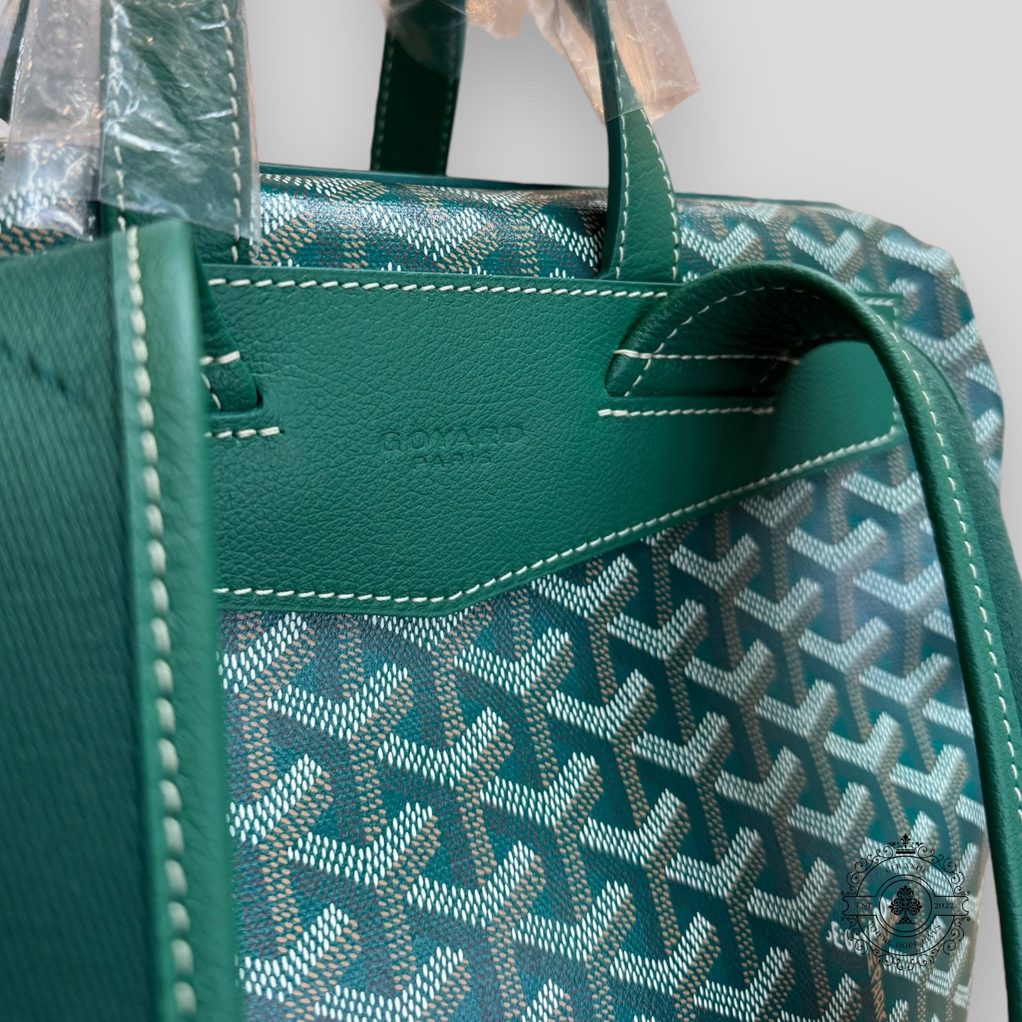 Goyard Cisalpin MM Backpack in Green
